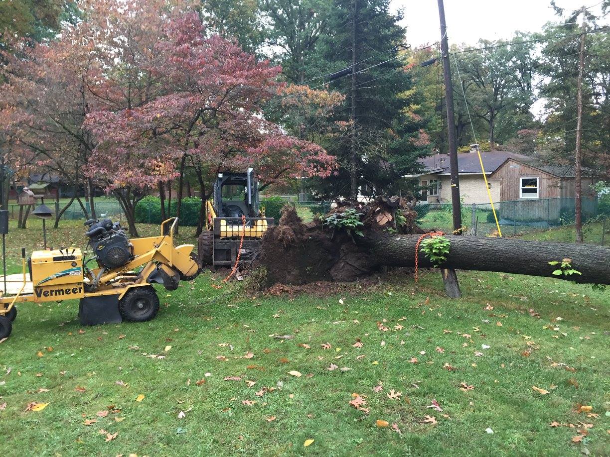 tree trimming south bend indiana and michiana
