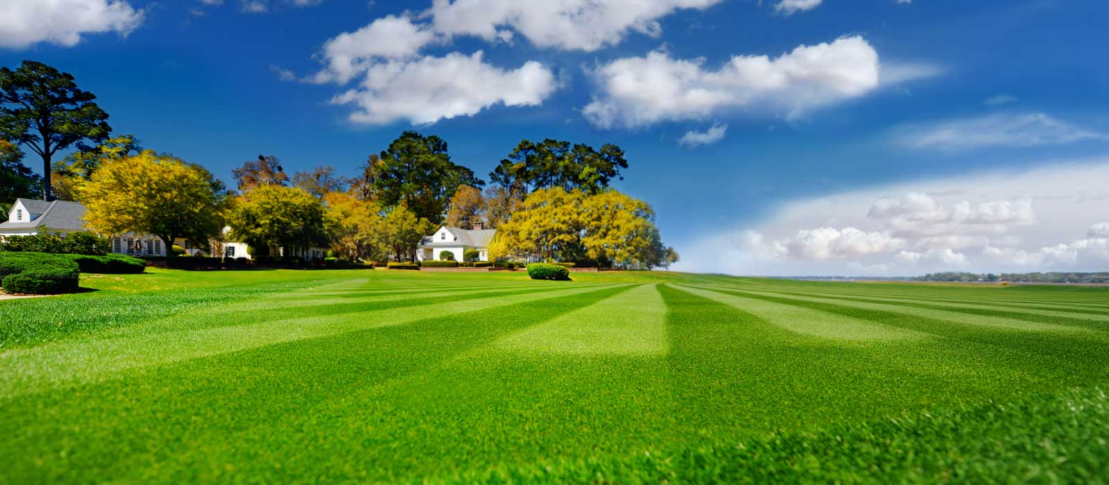 lawn care south bend indiana