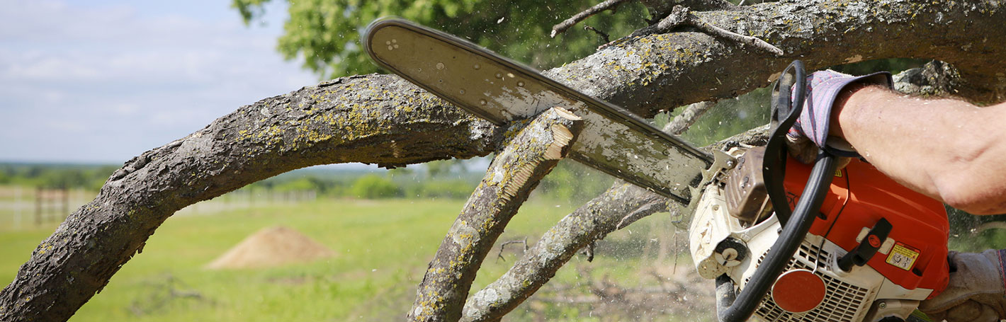 tree trimming south bend indiana and michiana