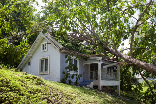 storm damage south bend