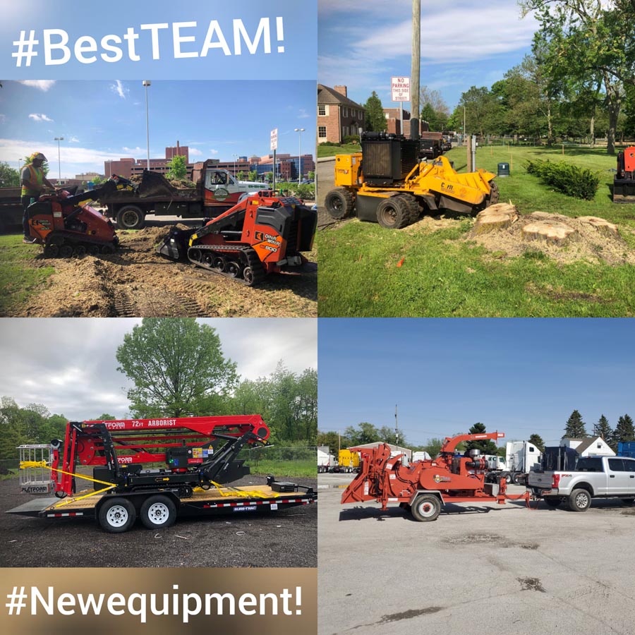 tree care south bend indiana and michiana