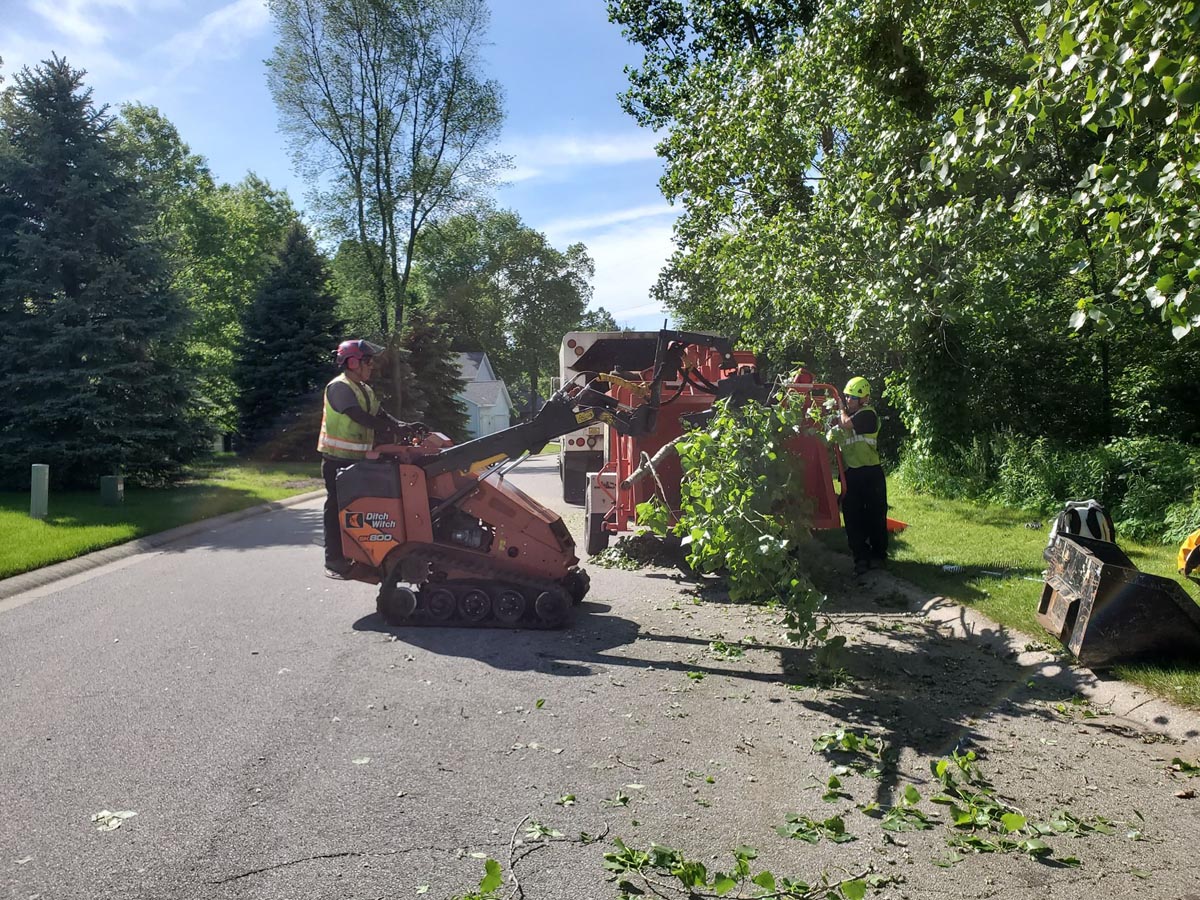 tree care south bend indiana and michiana