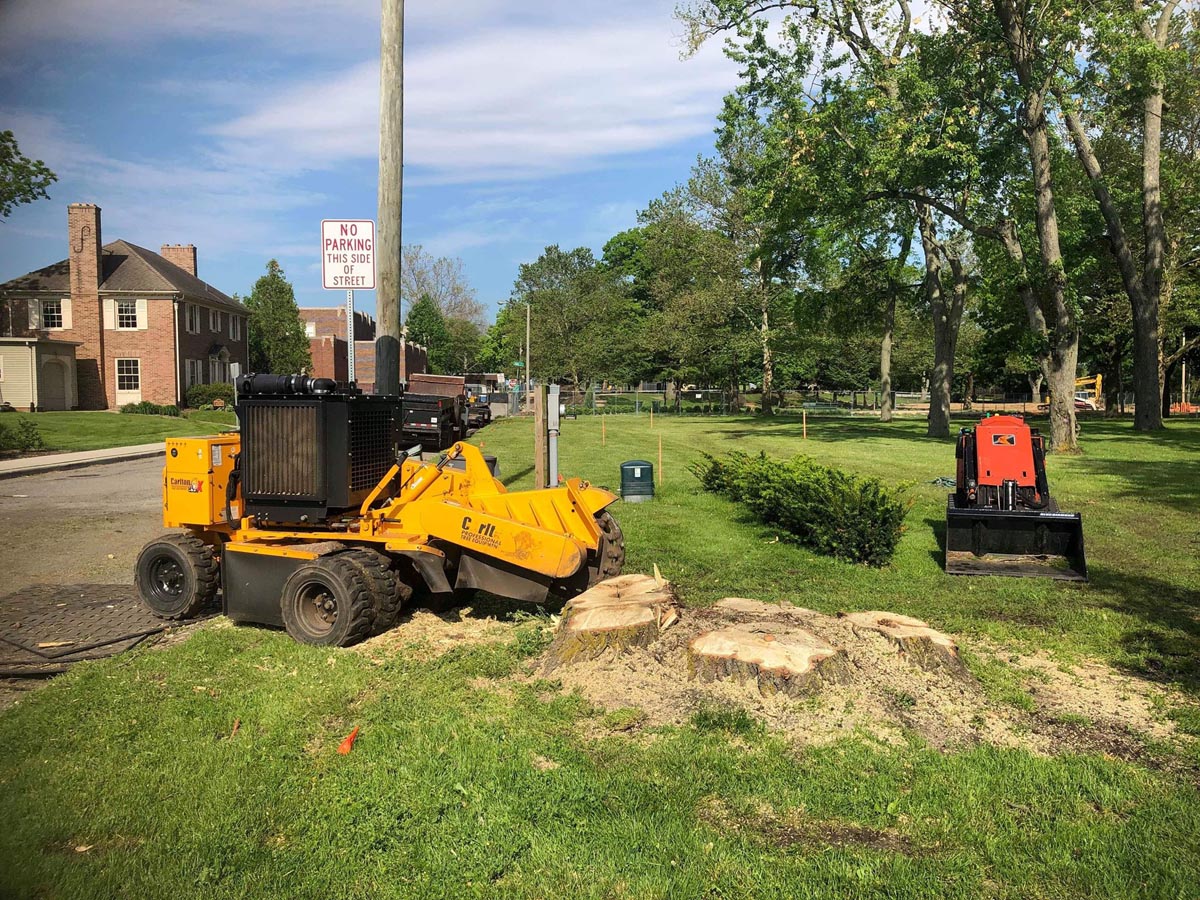 tree care south bend indiana and michiana